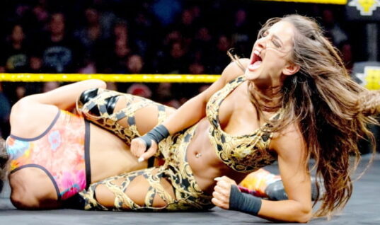 Former WWE Talent May Have Subtly Confirmed She’s Retired From The Ring